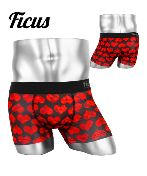 フィークス FICUS メンズ ボクサーパンツ 【メール便】OUTLET SALE_F